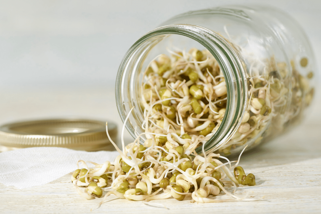 Sprouts nutritional benefits
